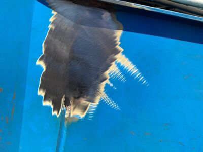 schweißen an blauen gelenkarm